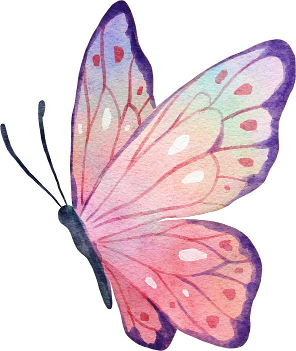 Butterfly Watercolor Illustration